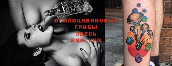 твердый Алексеевка