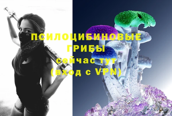 меф Алексин