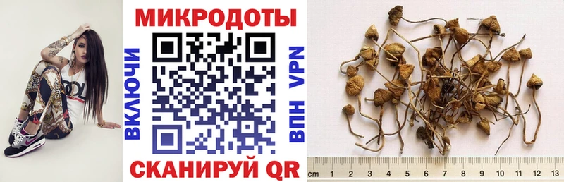 Галлюциногенные грибы мухоморы  закладка  Касимов 